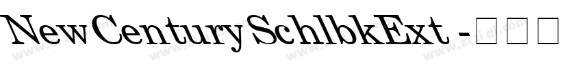 NewCenturySchlbkExt 字体转换